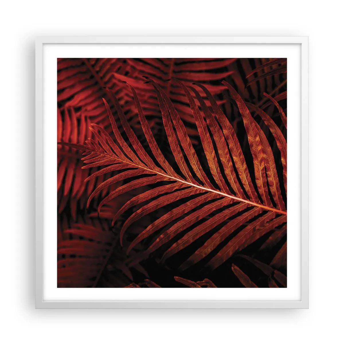 Poster in een witte lijst - De hitte van het leven - 60x60 cm
