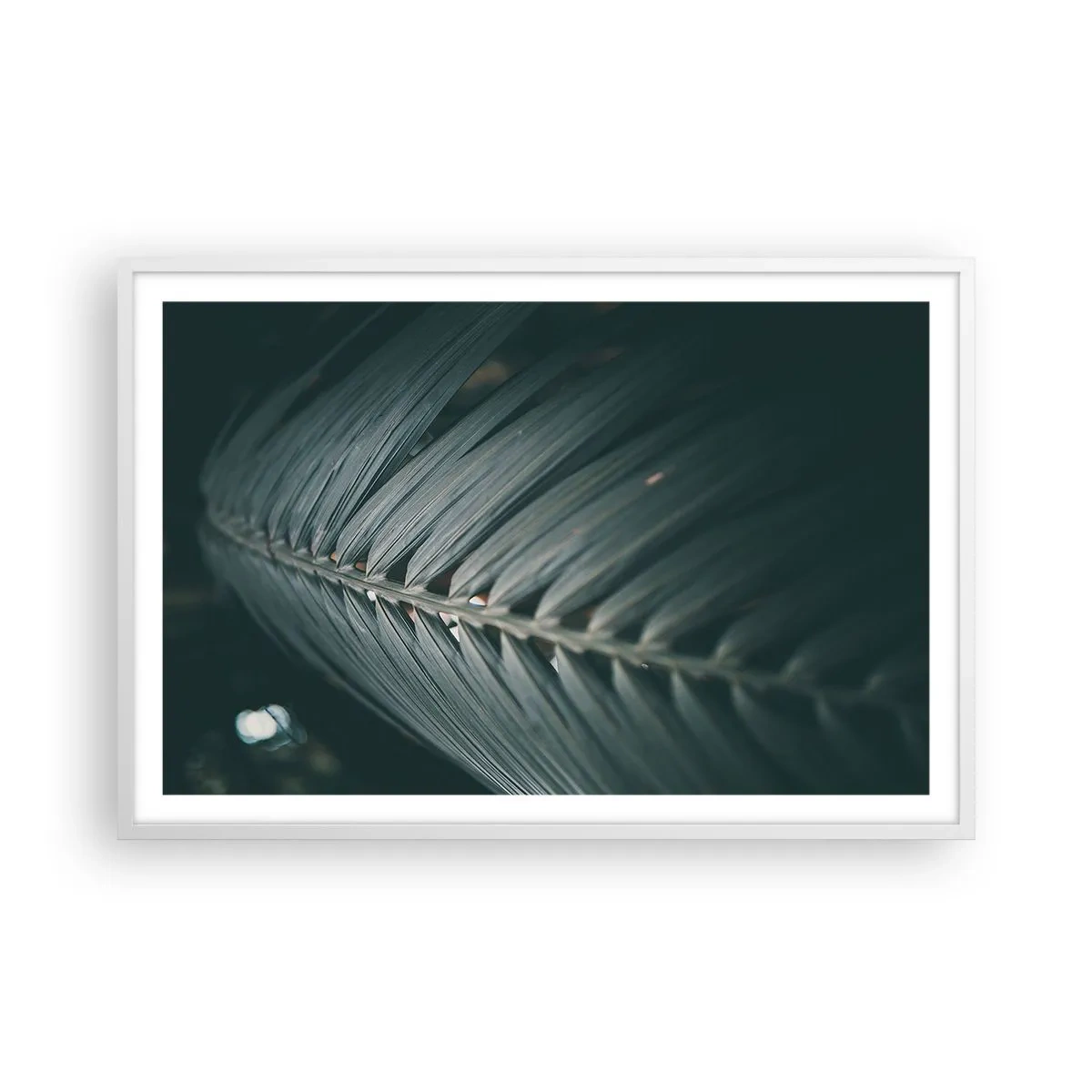 Poster in een witte lijst - De precisie van de natuur - 91x61 cm