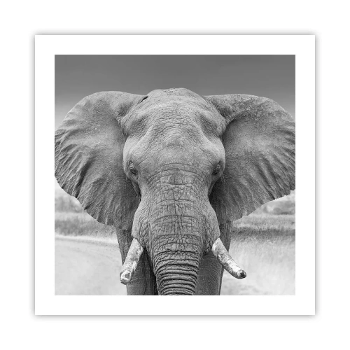Poster - Welkom in mijn wereld - 50x50 cm