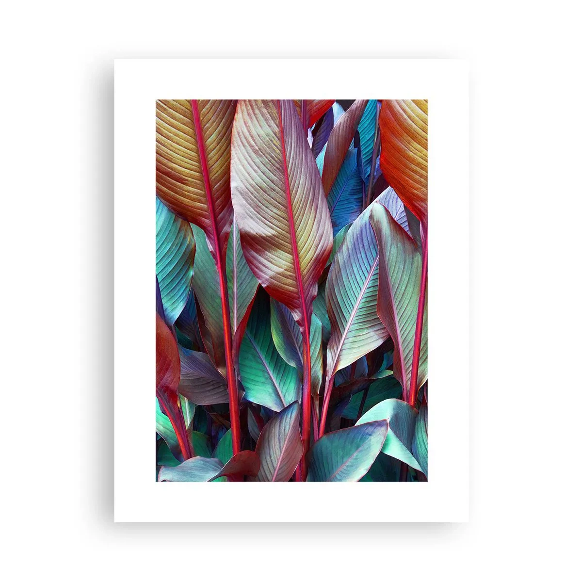 Poster - Een kleurrijk struikgewas - 30x40 cm