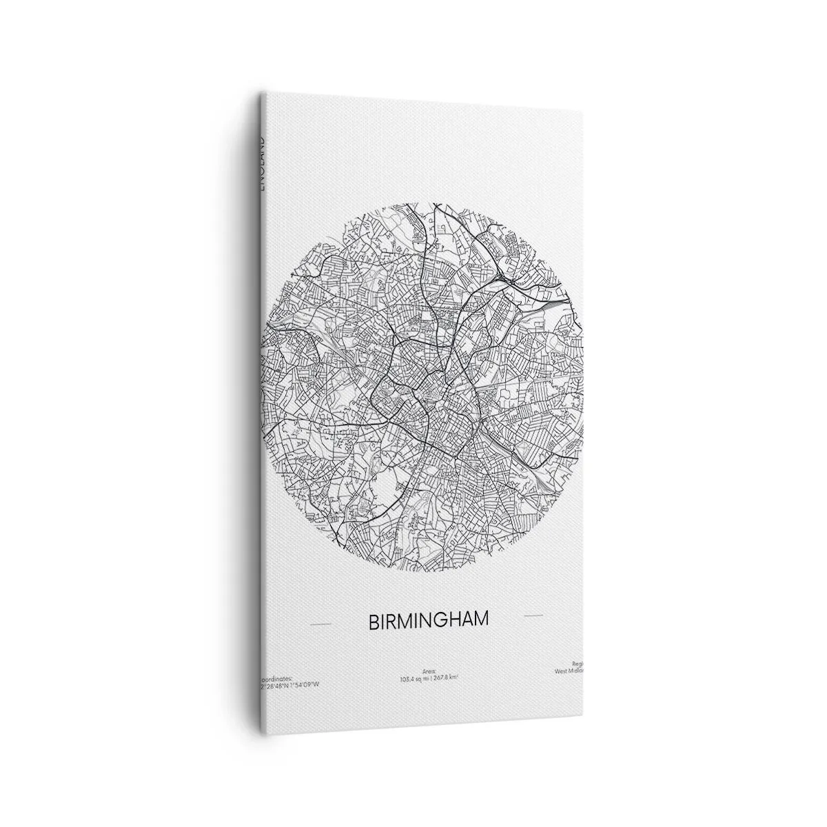 Schilderen op canvas - Anatomie van Birmingham - 45x80 cm