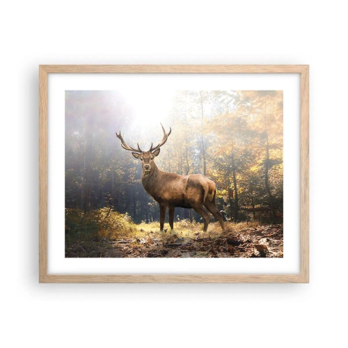 Een poster in een licht eiken lijst - In volle majesteit - 50x40 cm