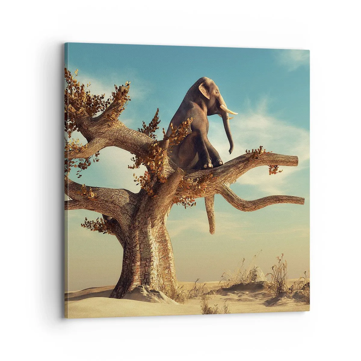 Schilderen op canvas - Een nieuw gezichtspunt - 70x70 cm