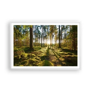 Poster in een witte lijst - … Achter de zeven bossen - 91x61 cm
