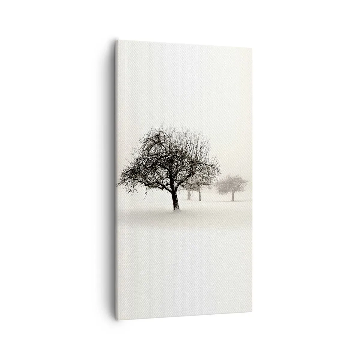 Schilderen op canvas - Winterslaap - 55x100 cm