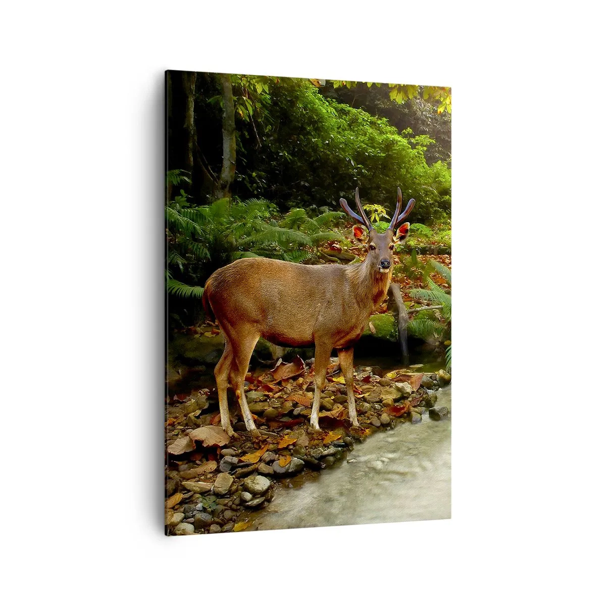 Schilderen op canvas - Welkom in mijn wereld - 70x100 cm