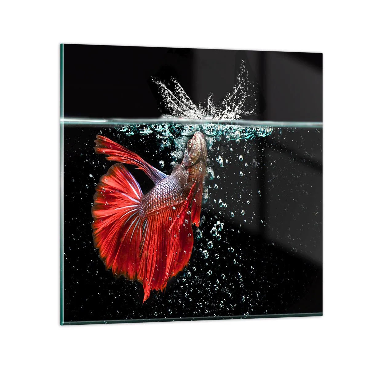 Schilderen op glas - Je hebt drie wensen - 50x50 cm