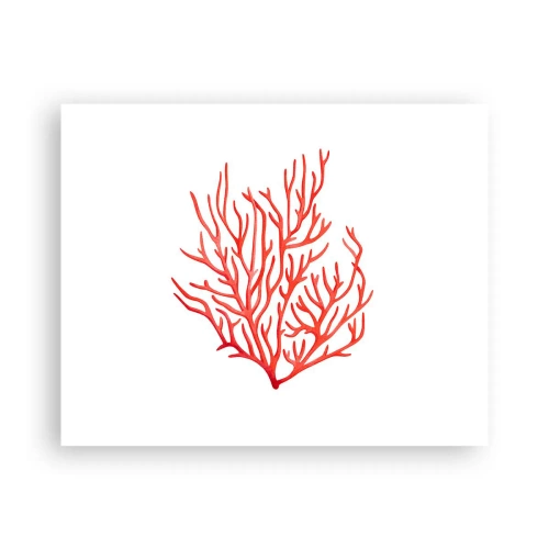 Poster - Koraal filigraan - 50x40 cm