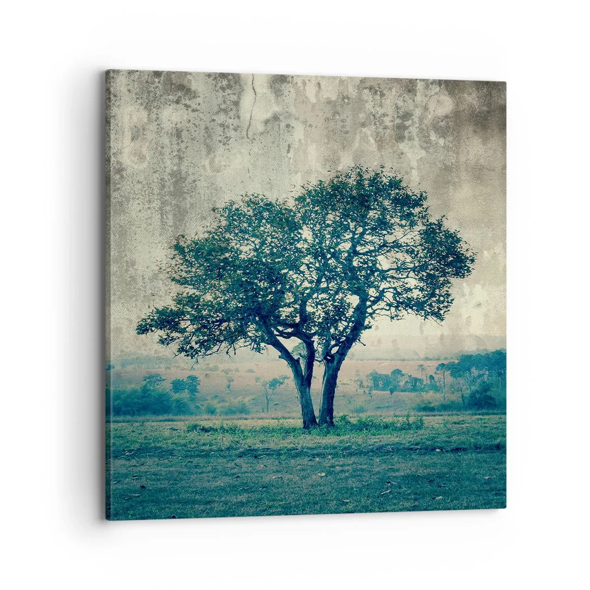 Schilderen op canvas - Een appelboom op een blauw veld? - 70x70 cm