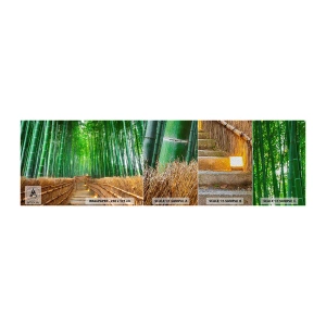 Fotobehang Monster Premium Sand - De essentie van de aziatische natuur - Bamboe, Bamboo Bos, Natuur - 100x30 cm