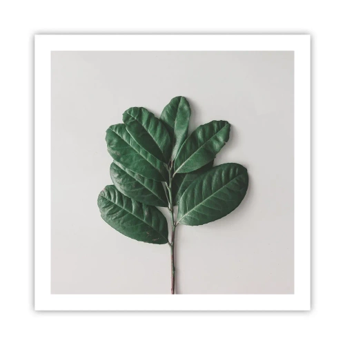 Poster - Een tekening van de pure natuur - 60x60 cm
