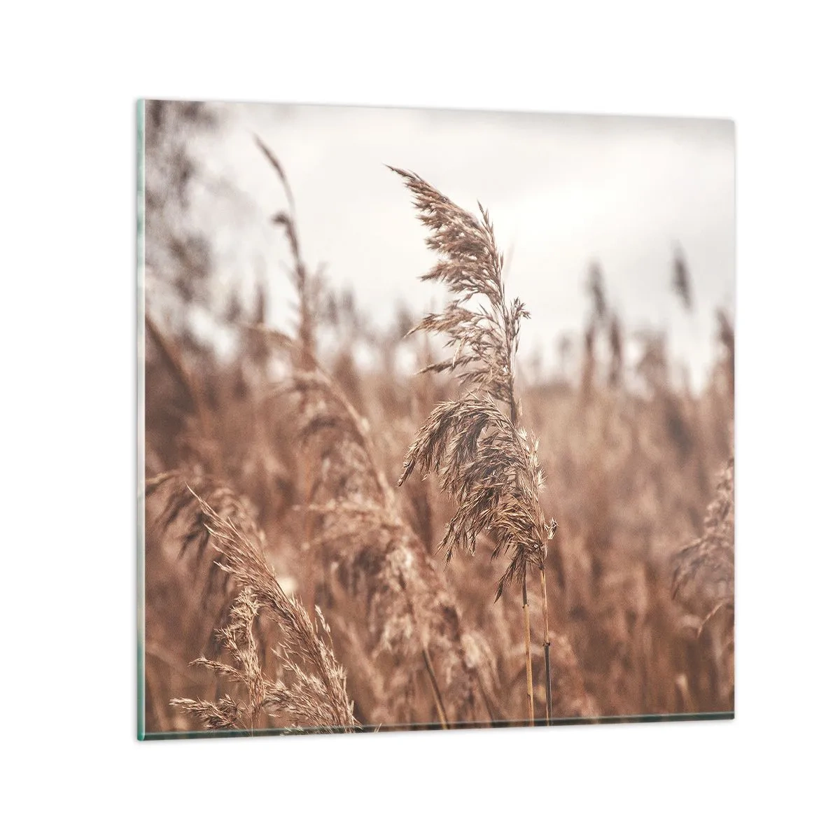 Schilderen op glas - Het is al herfst in de velden - 60x60 cm