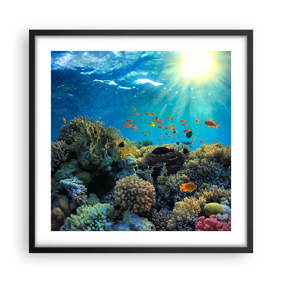 Poster in een zwarte lijst - Onderwater schatten - 50x50 cm