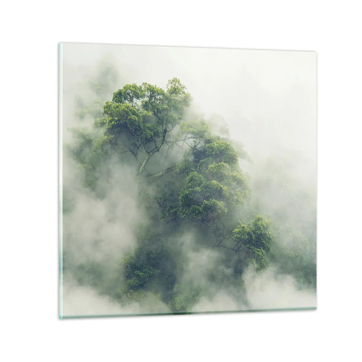 Schilderen op glas - In mist gehuld - 40x40 cm