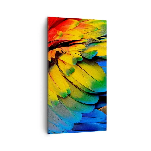 Schilderen op canvas - Paradijsvogel - 45x80 cm
