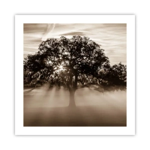 Poster - Boom van goede kennis alleen - 50x50 cm