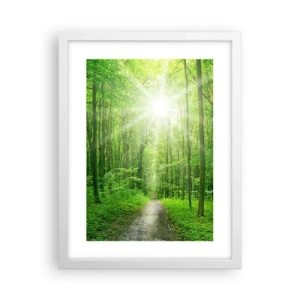 Poster in een witte lijst - De groene kathedraal - 30x40 cm