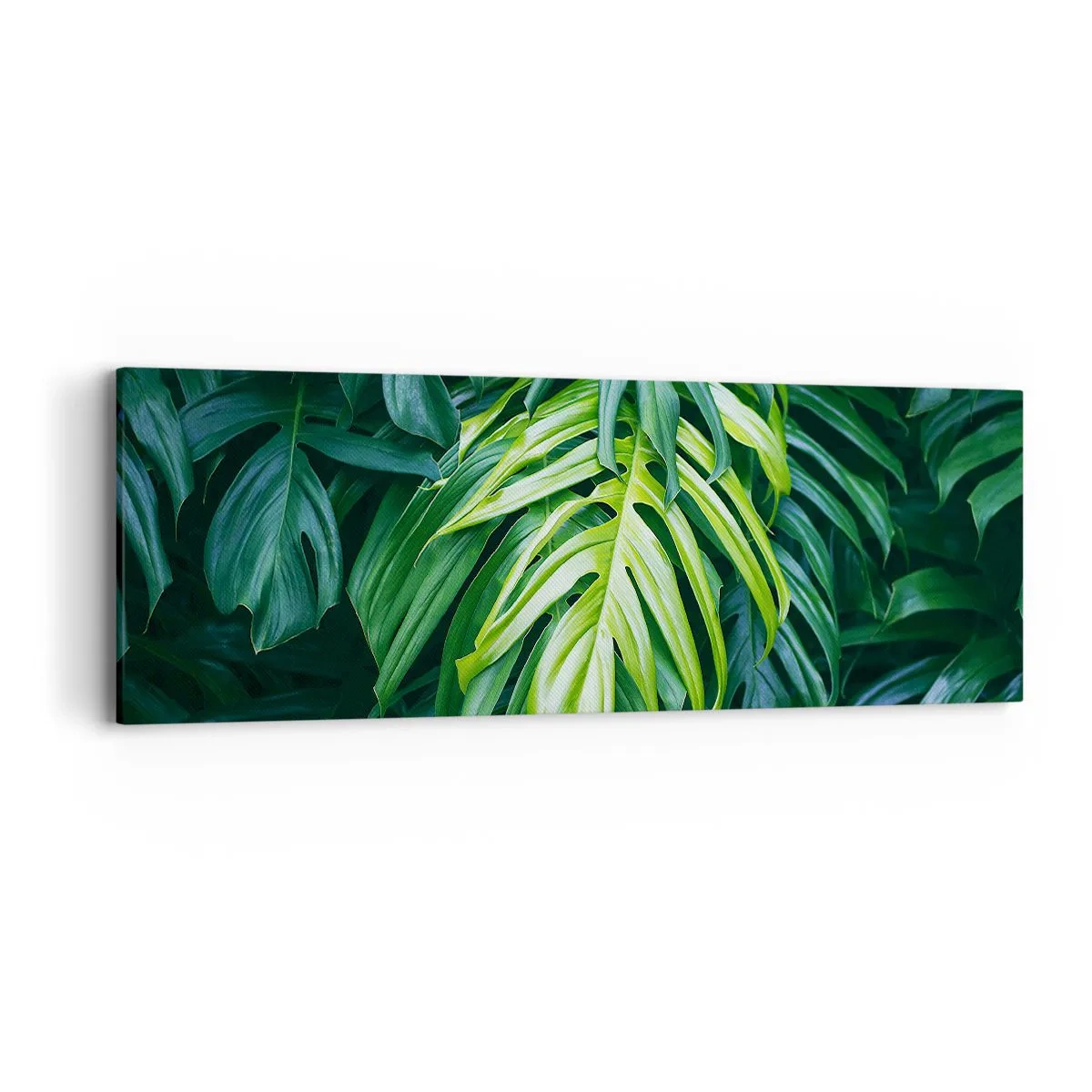 Schilderen op canvas - Dompel jezelf onder in de frisheid - 90x30 cm