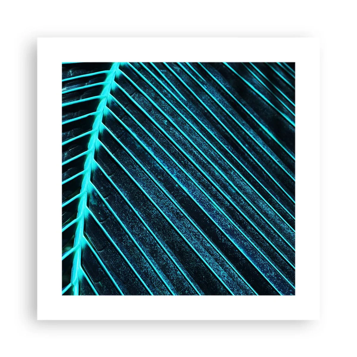 Poster - Groene textuur - 40x40 cm