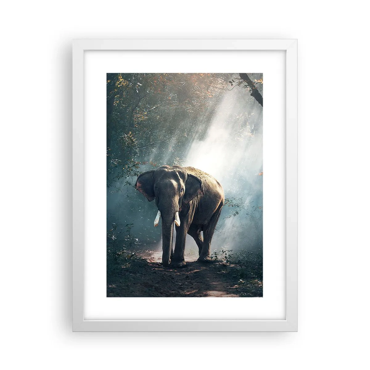 Poster in een witte lijst - Een ontspannen wandeling - 30x40 cm