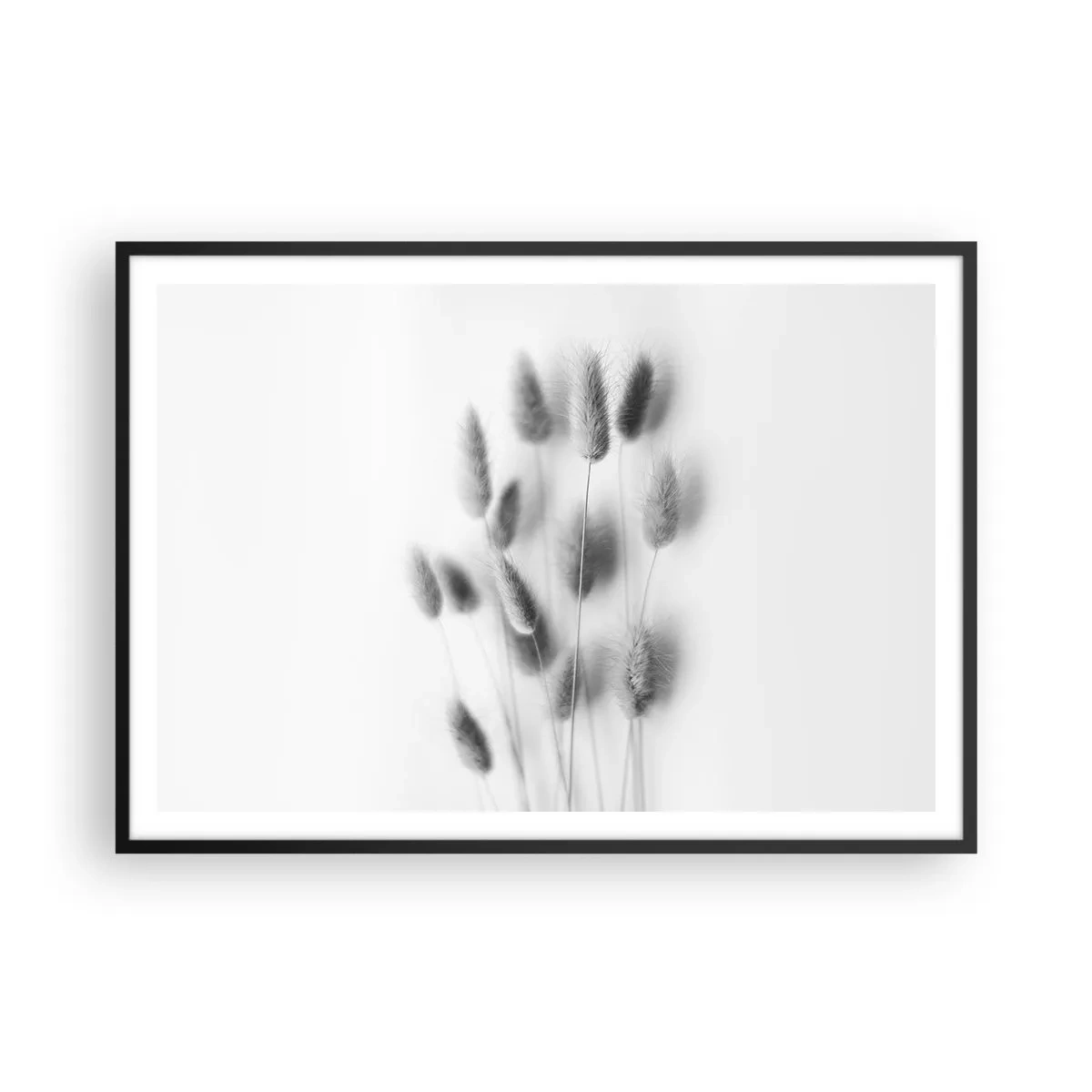 Poster in een zwarte lijst - Haar luchtigheid gras - 100x70 cm