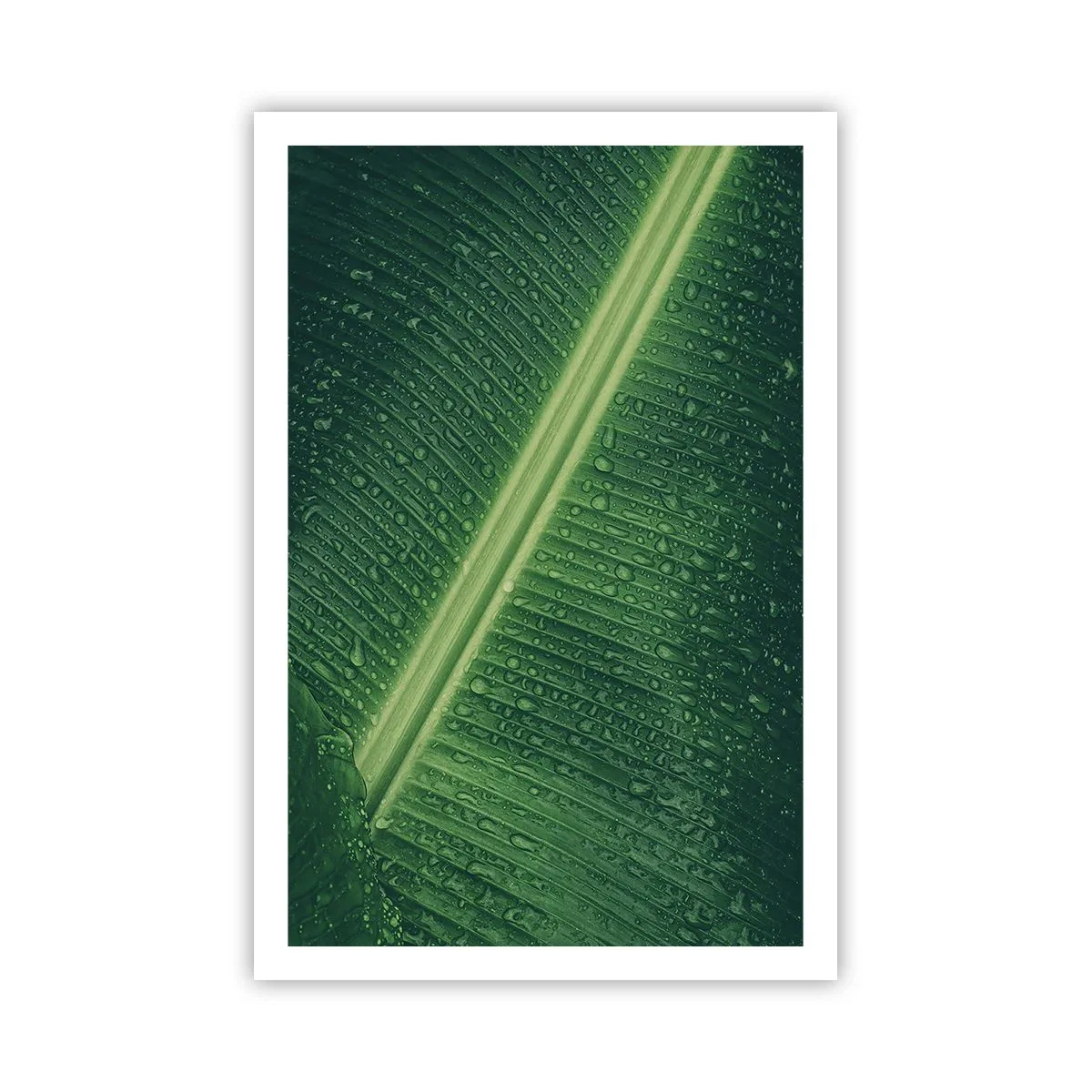 Poster - De structuur van groen - 61x91 cm