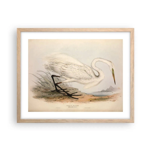 Een poster in een licht eiken lijst - Dame op de biezen - 50x40 cm