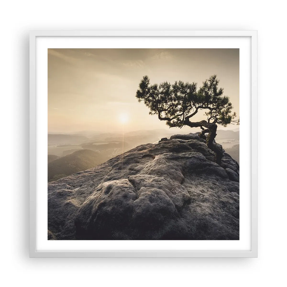 Poster in een witte lijst - Het leven wint altijd - 60x60 cm