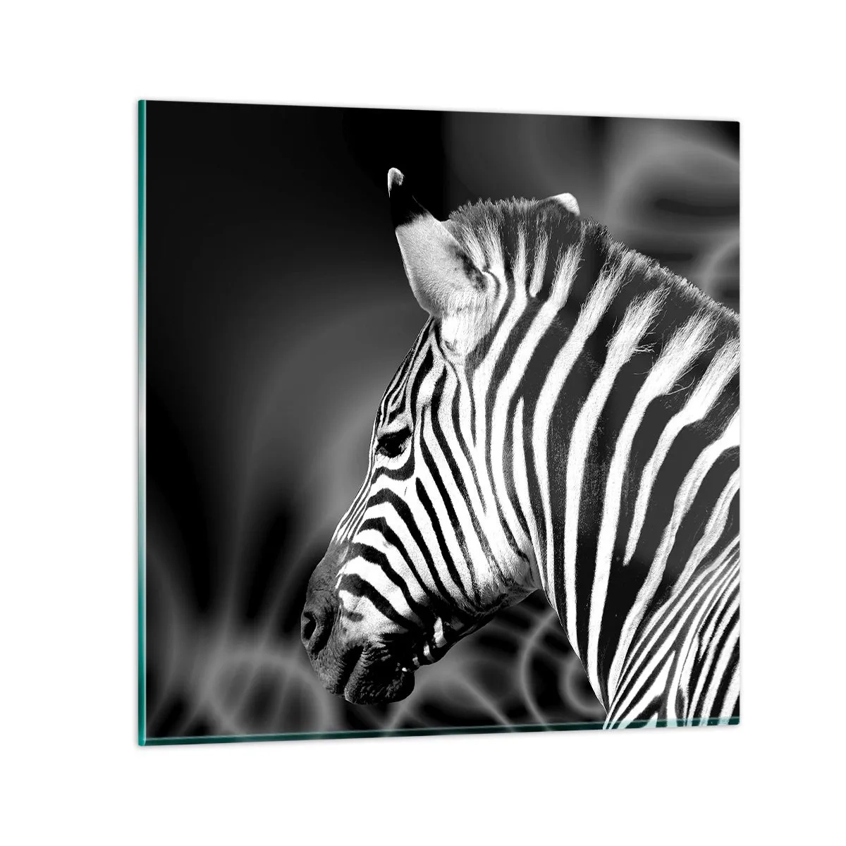 Schilderen op glas - Wit is wit en zwart is zwart - 40x40 cm