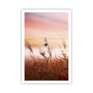 Poster - Vliegers, paardebloemen, wind - 61x91 cm