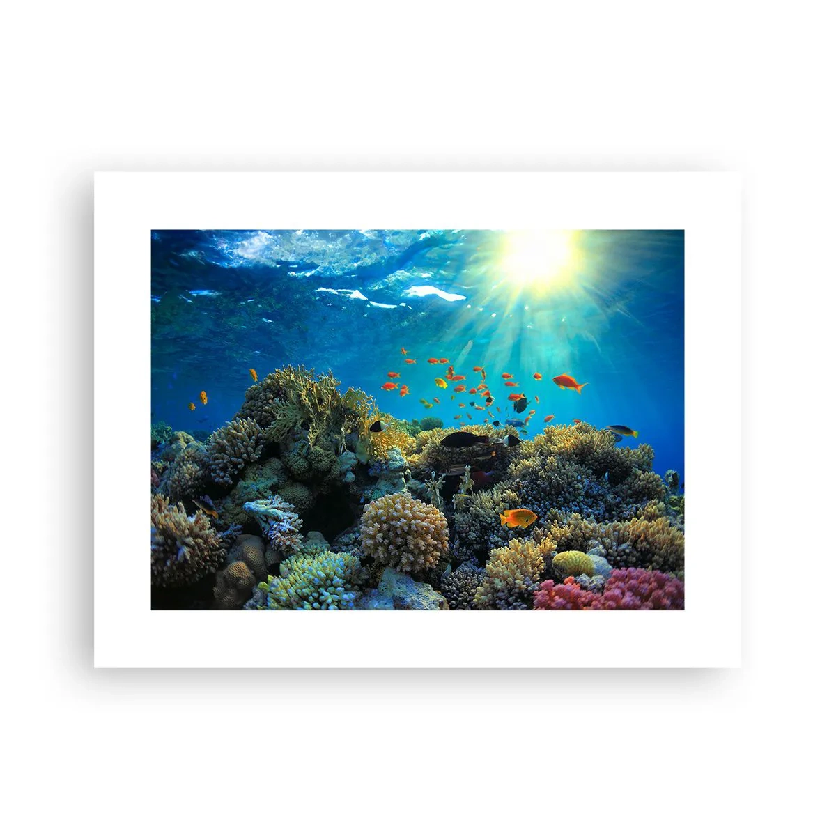 Poster - Onderwater schatten - 40x30 cm