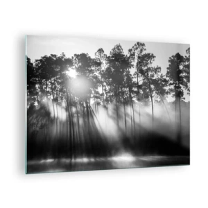 Schilderen op glas - Zwart-witte bomen in een bos met zonnestralen in de nevel - 70x50cm - Niet te stoppen zon - Moderne wanddecoratie voor woonkamer en slaapkamer ARTTOR