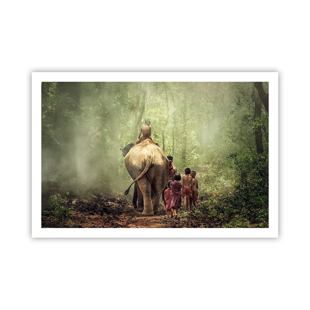 Poster - Nieuw Jungle Boek - 91x61 cm