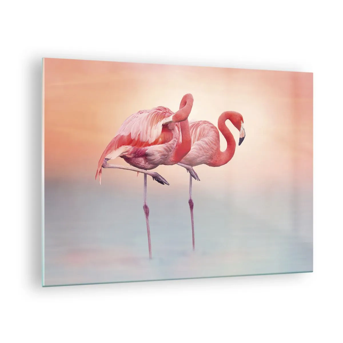 Schilderen op glas - Twee flamingo's staan in het water met een pastelkleurige zonsondergang op de achtergrond - 70x50cm - De kleur van de ondergaande zon - Moderne wanddecoratie voor woonkamer en slaapkamer ARTTOR
