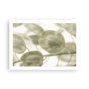 Poster - In het begin waren er bladeren... - 70x50 cm