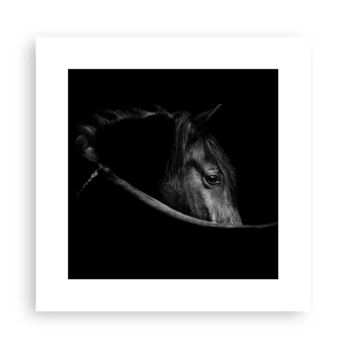 Poster - Zwarte Prins - 30x30 cm