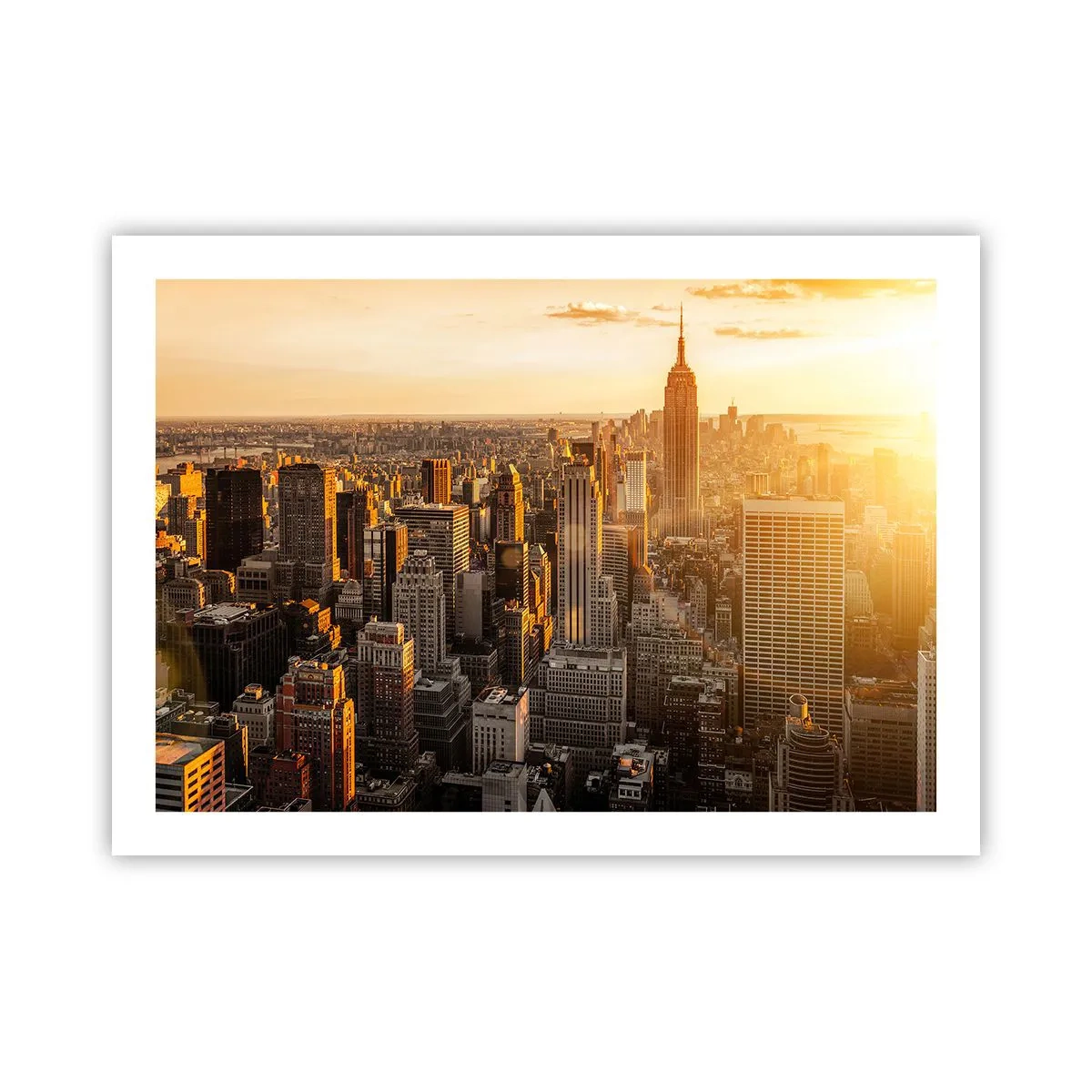 Poster - Groeien in de zon - 70x50 cm