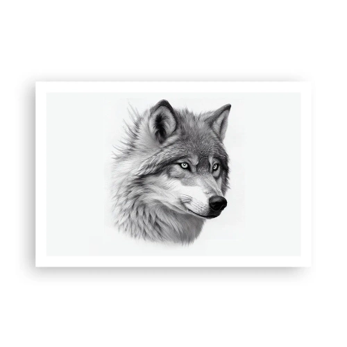 Poster - Alfa – zonder twijfel - 91x61 cm