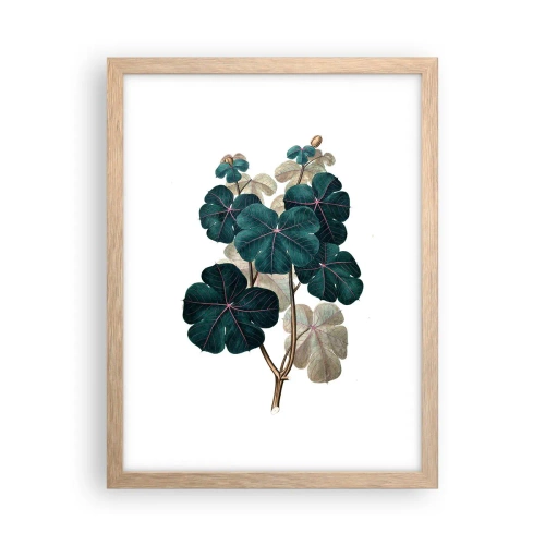 Een poster in een licht eiken lijst - Uit het oude herbarium - 30x40 cm