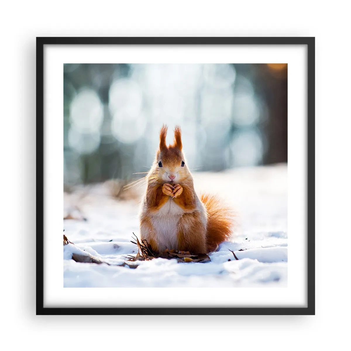 Poster in een zwarte lijst - Waar kijk je naar? - 50x50 cm