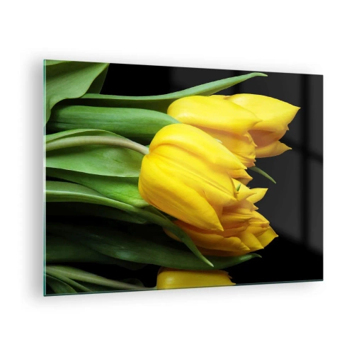 Schilderen op glas - Gele tulpen op een zwarte achtergrond in een elegante opname - 70x50cm - Gemaakt van heldere zon - Moderne wanddecoratie voor woonkamer en slaapkamer ARTTOR