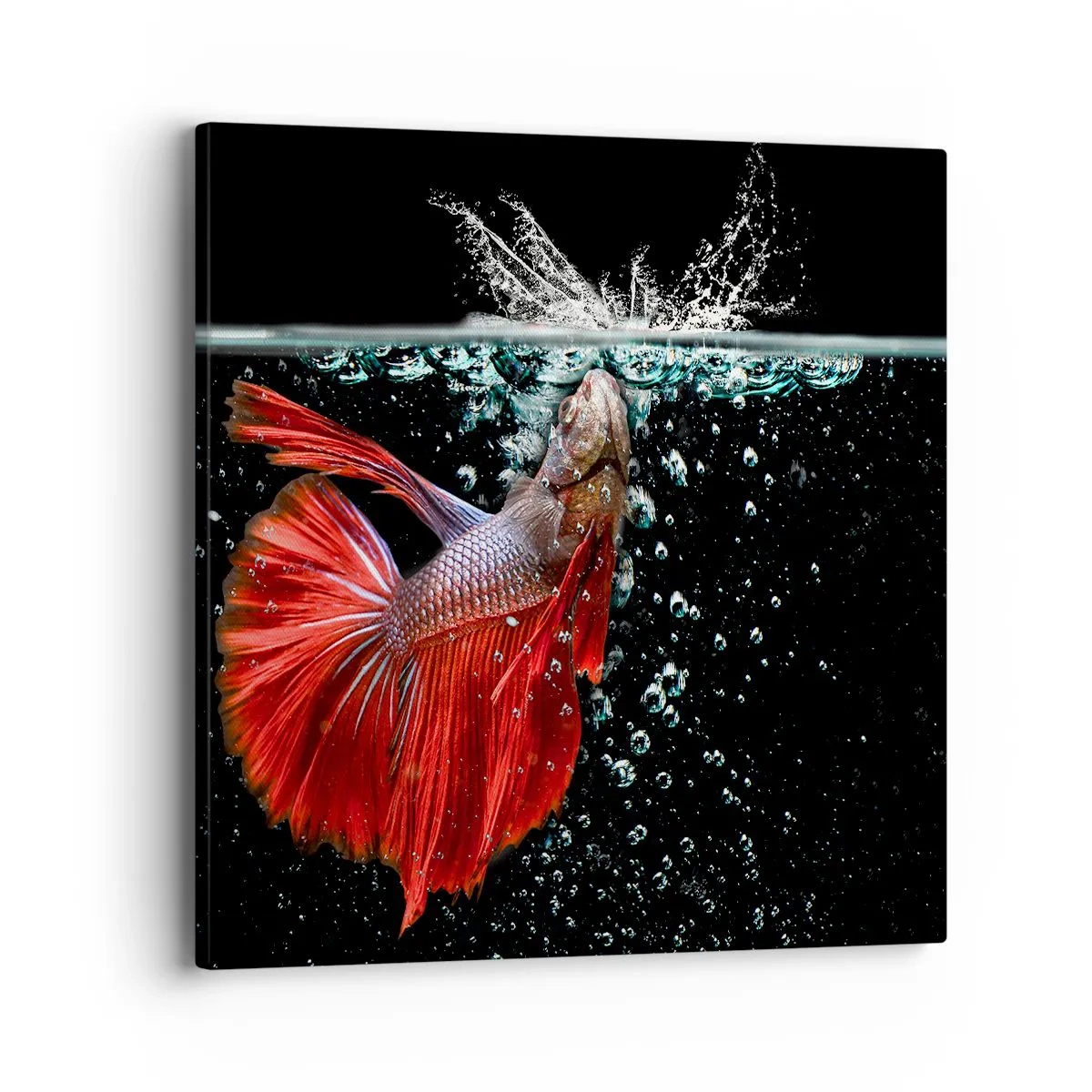 Schilderen op canvas - Je hebt drie wensen - 40x40 cm