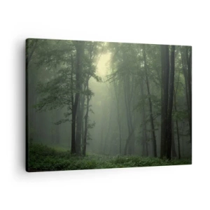 Schilderen op canvas - Een groen bos in de ochtend, gehuld in een delicate mist - 70x50cm - Voordat hij wakker wordt - Moderne wanddecoratie voor woonkamer en slaapkamer ARTTOR