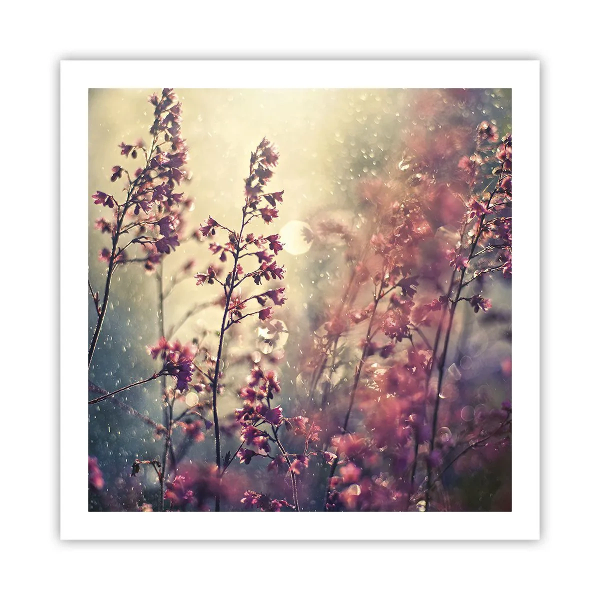 Poster - Geheime Tuin - 60x60 cm
