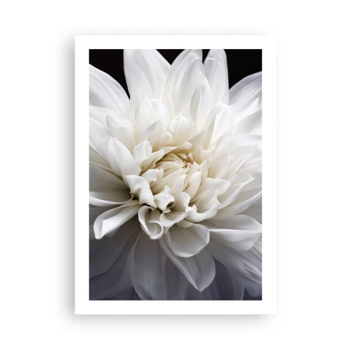 Poster - Ochtend van de bruid - 50x70 cm