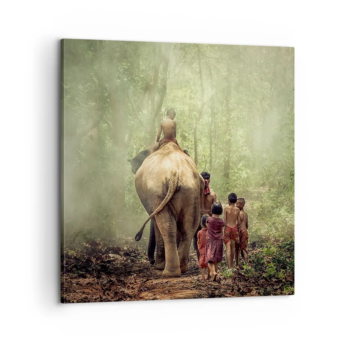 Schilderen op canvas - Nieuw Jungle Boek - 60x60 cm