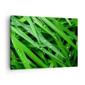 Schilderen op canvas - Close-up van groene grassprieten met dauwdruppels - 70x50cm - Speel groen - Moderne wanddecoratie voor woonkamer en slaapkamer ARTTOR