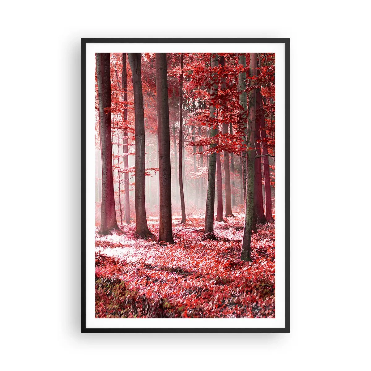 Poster in een zwarte lijst - Rood is net zo mooi - 70x100 cm