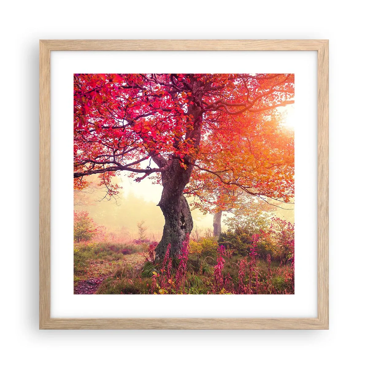 Een poster in een licht eiken lijst - Bloeiende razernij - 40x40 cm