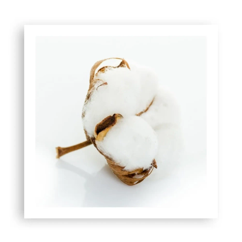 Poster - Zacht van aard - 60x60 cm